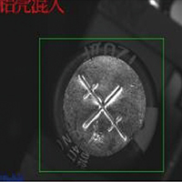 鋁殼混入